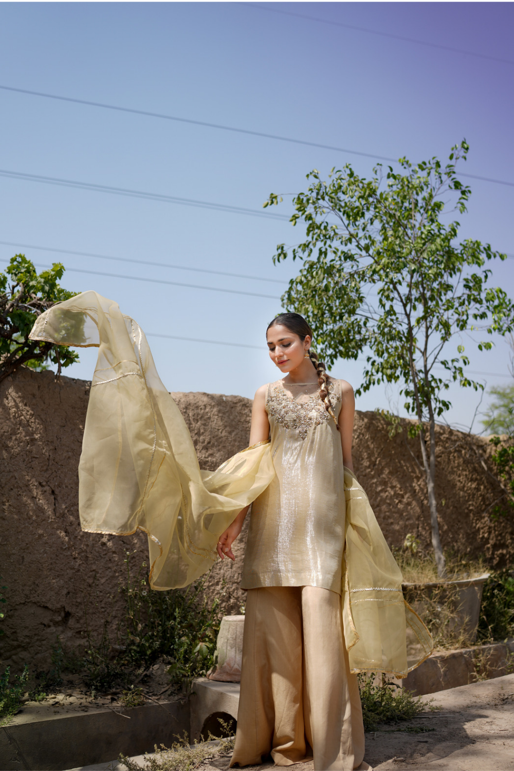 Zari Sample